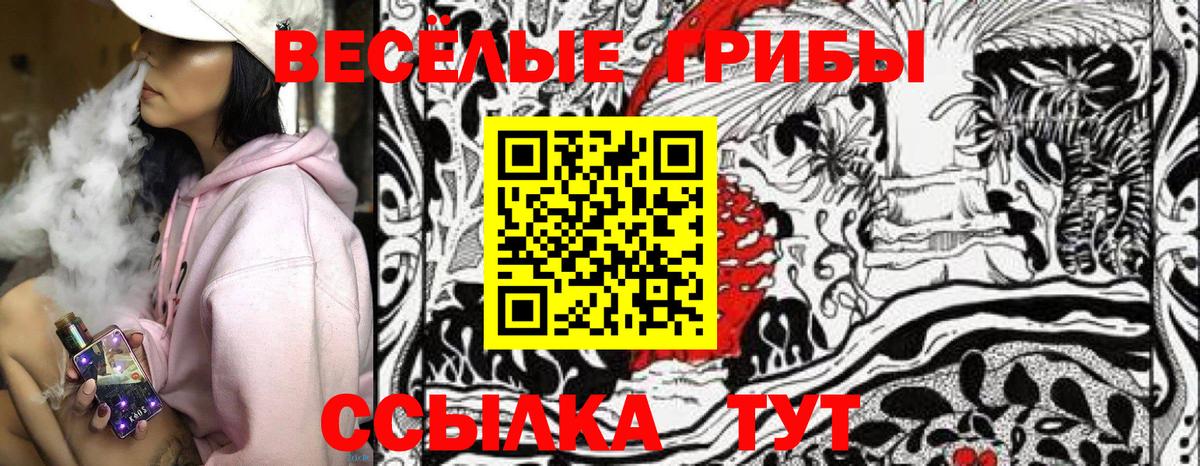 Псилоцибиновые грибы Psilocybe  Галлюциногенные грибы GOLDEN TEACHER  Хабаровск  Вход с VPN 