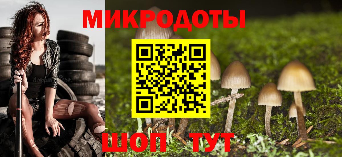Галлюциногенные грибы GOLDEN TEACHER Хабаровск